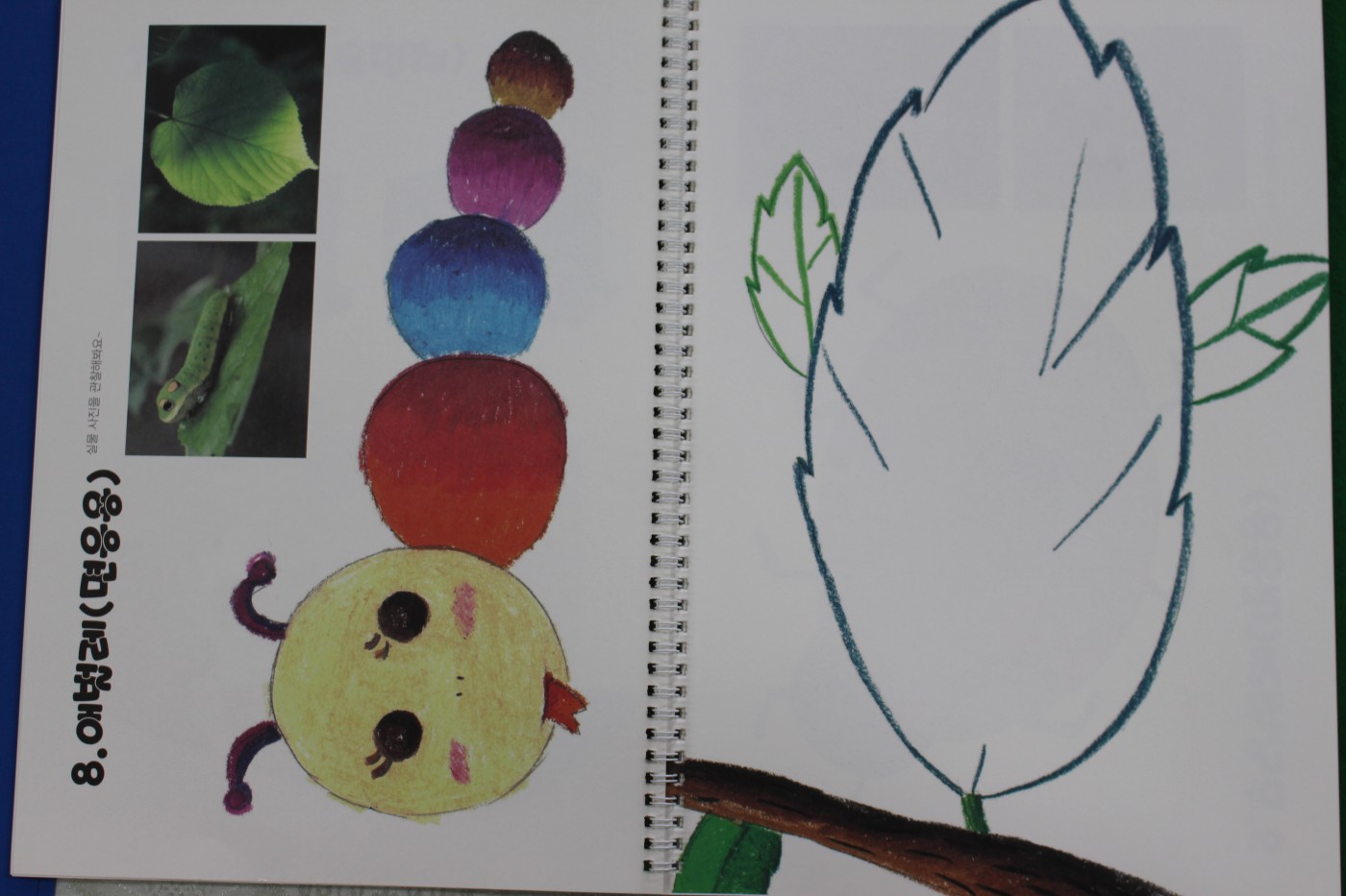 42012f237334a6b0c893a2ed752cb64d_1703466