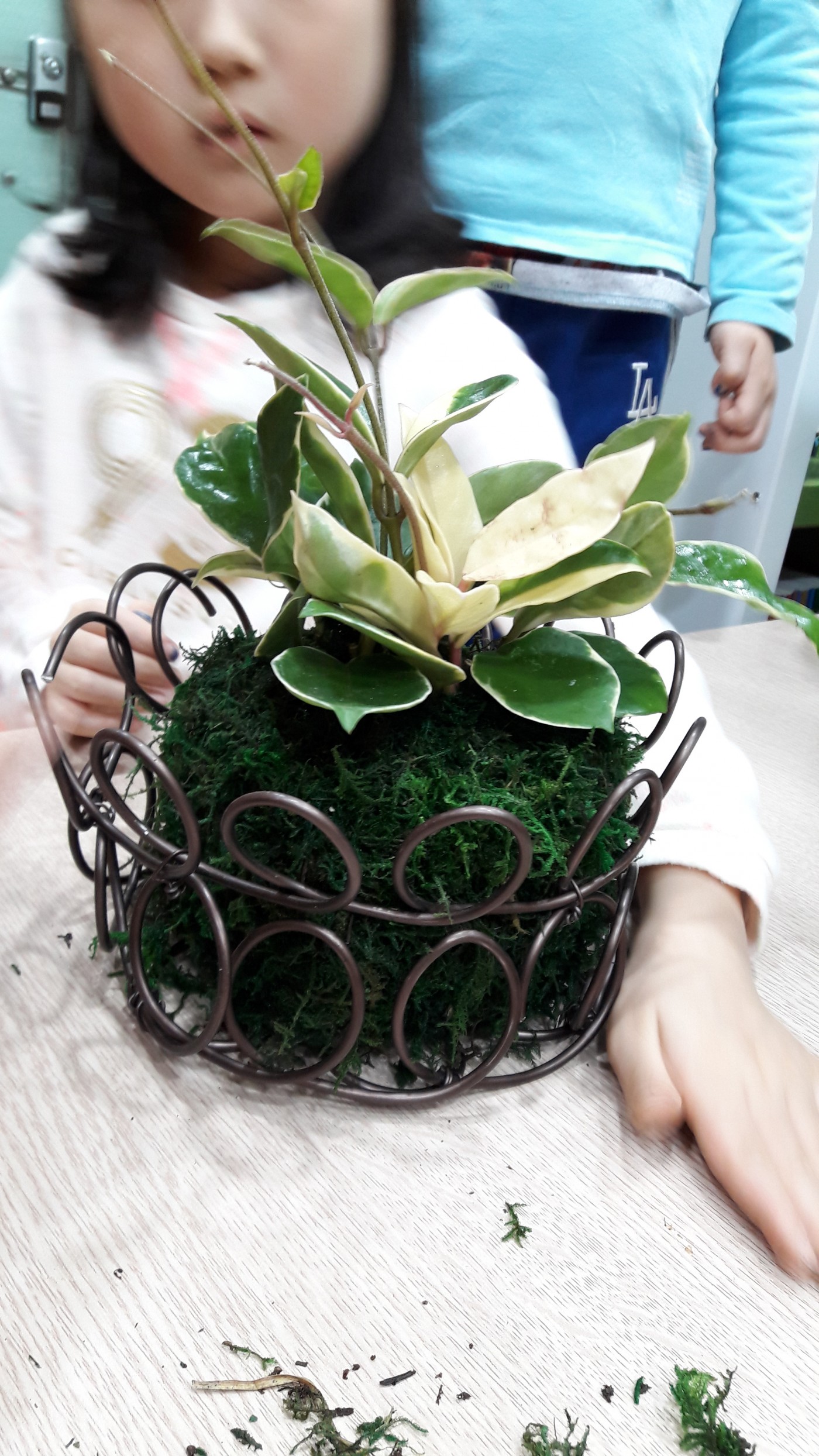 42012f237334a6b0c893a2ed752cb64d_1703470