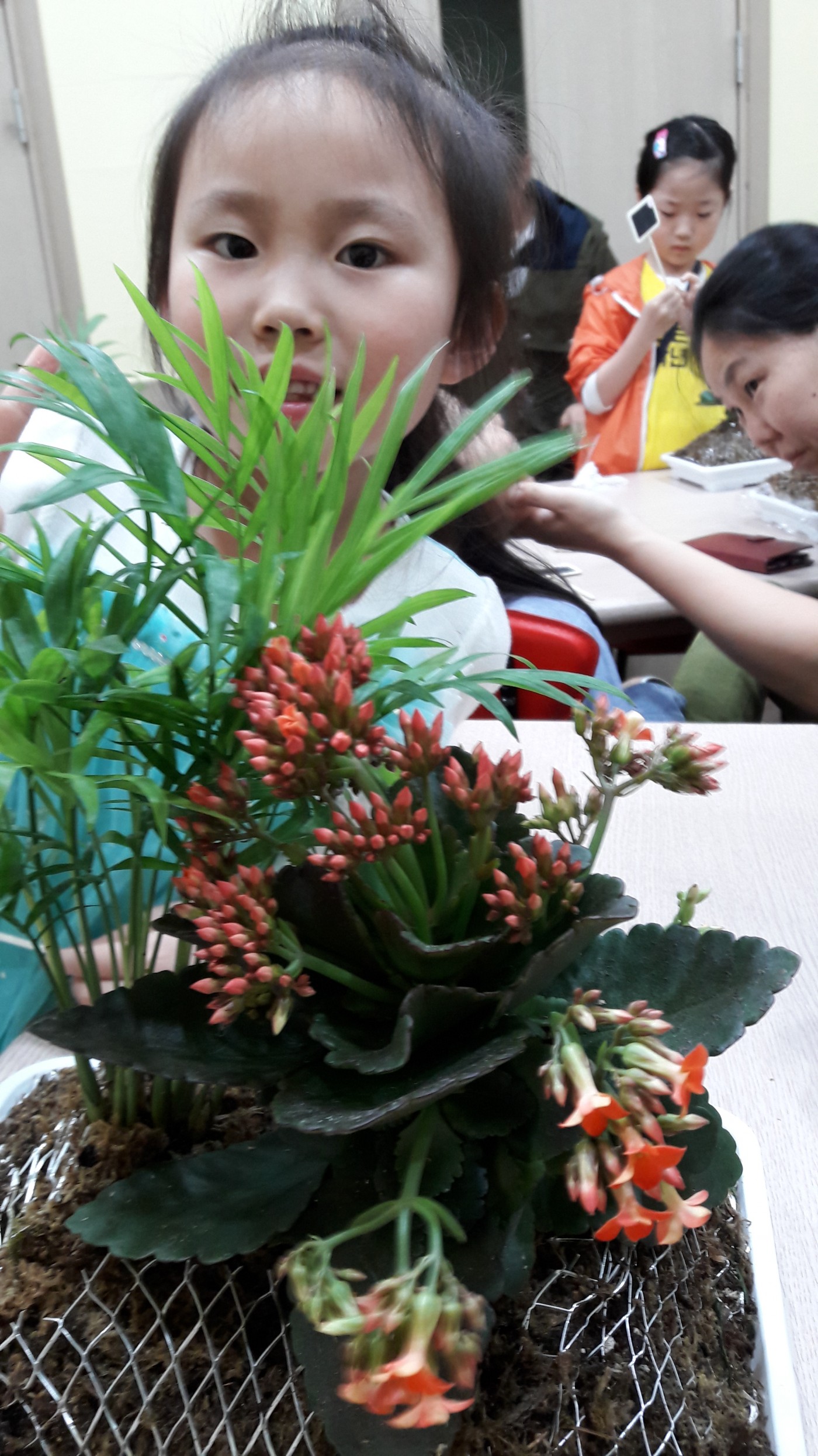 42012f237334a6b0c893a2ed752cb64d_1703471